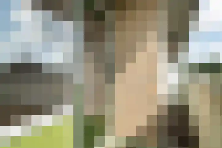 de Wilmskamp 261 Hengelo thumbnail 11