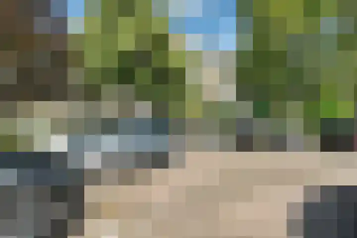 de Wilmskamp 261 Hengelo thumbnail 28