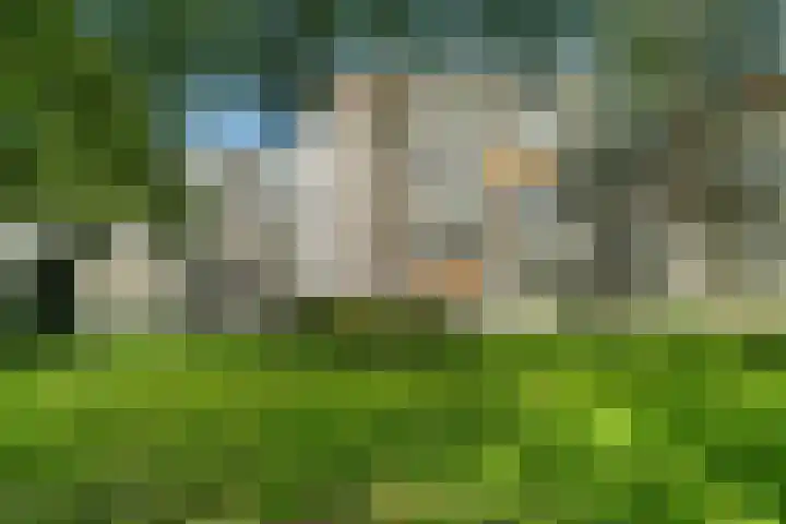 de Wilmskamp 261 Hengelo thumbnail 29