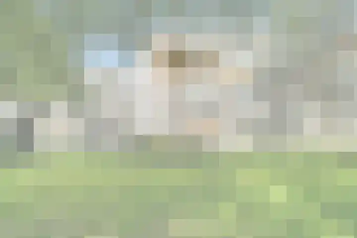 de Wilmskamp 261 Hengelo thumbnail 30