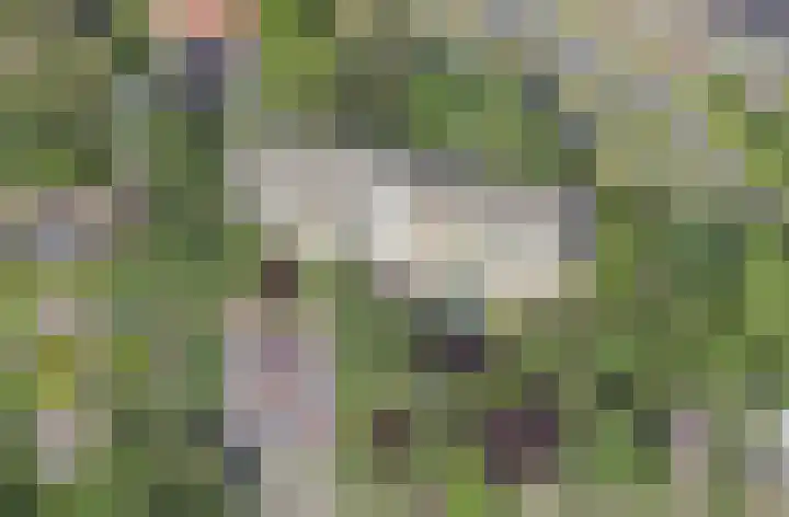de Wilmskamp 261 Hengelo thumbnail 31