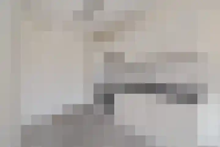 de Wilmskamp 261 Hengelo thumbnail 5