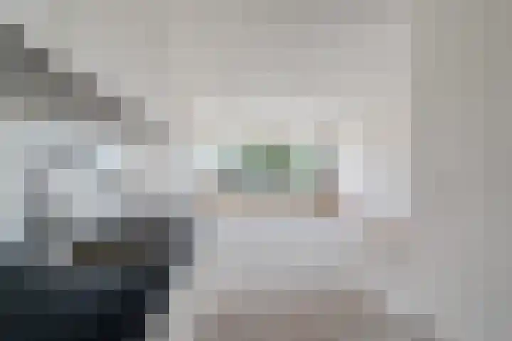 de Wilmskamp 261 Hengelo thumbnail 8