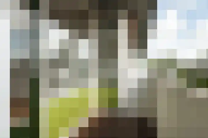 de Wilmskamp 261 Hengelo thumbnail 9