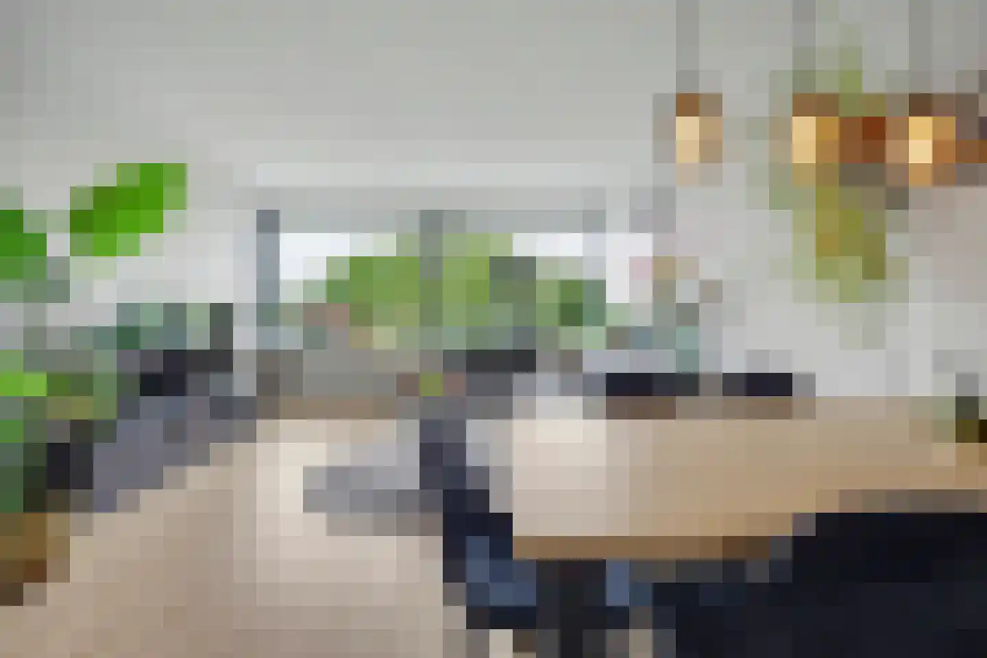de Wilmskamp 267 Hengelo thumbnail 13