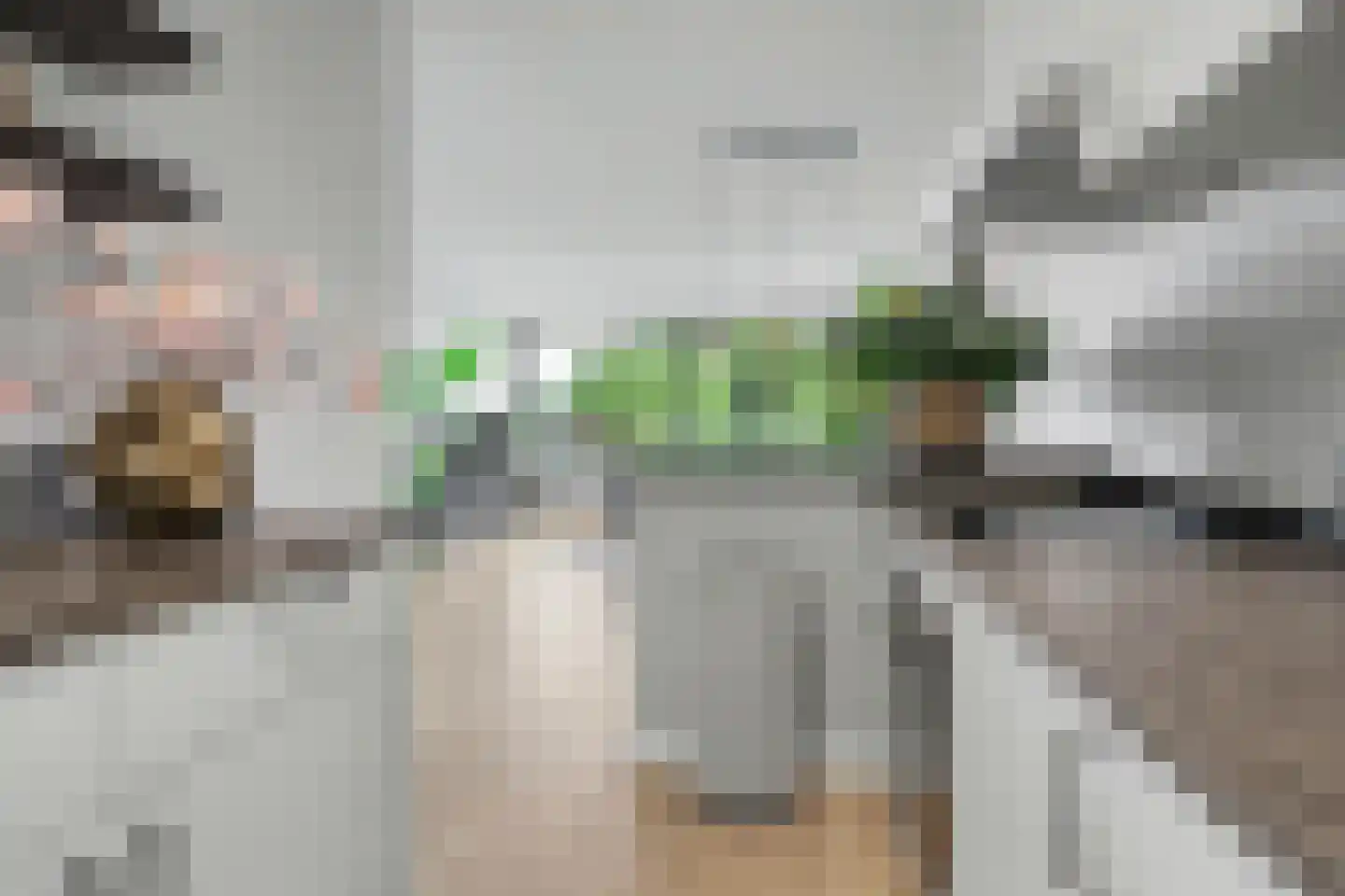 de Wilmskamp 267 Hengelo thumbnail 15