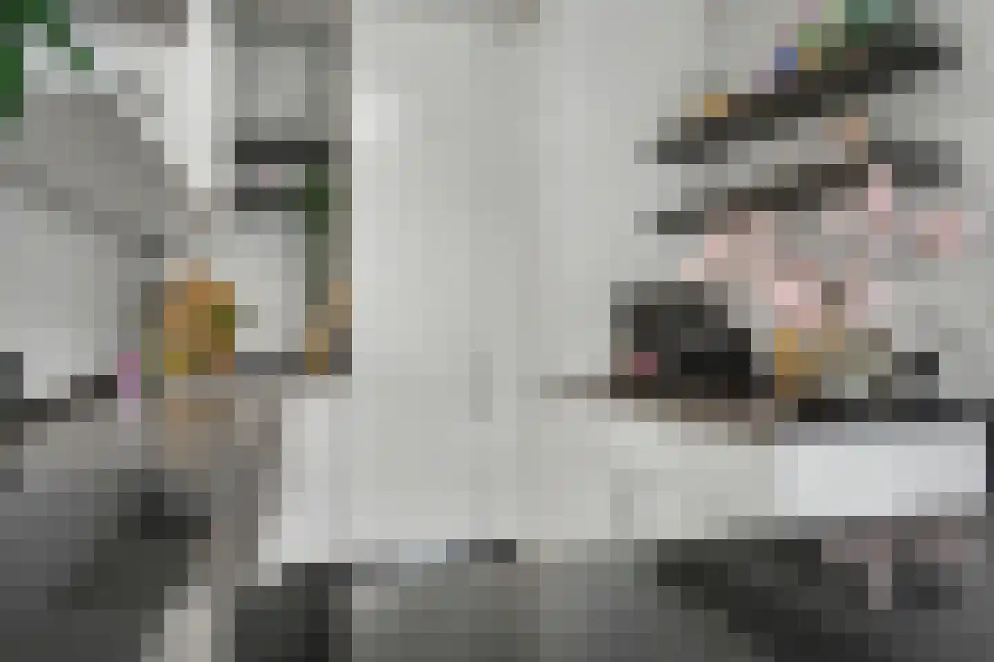 de Wilmskamp 267 Hengelo thumbnail 16