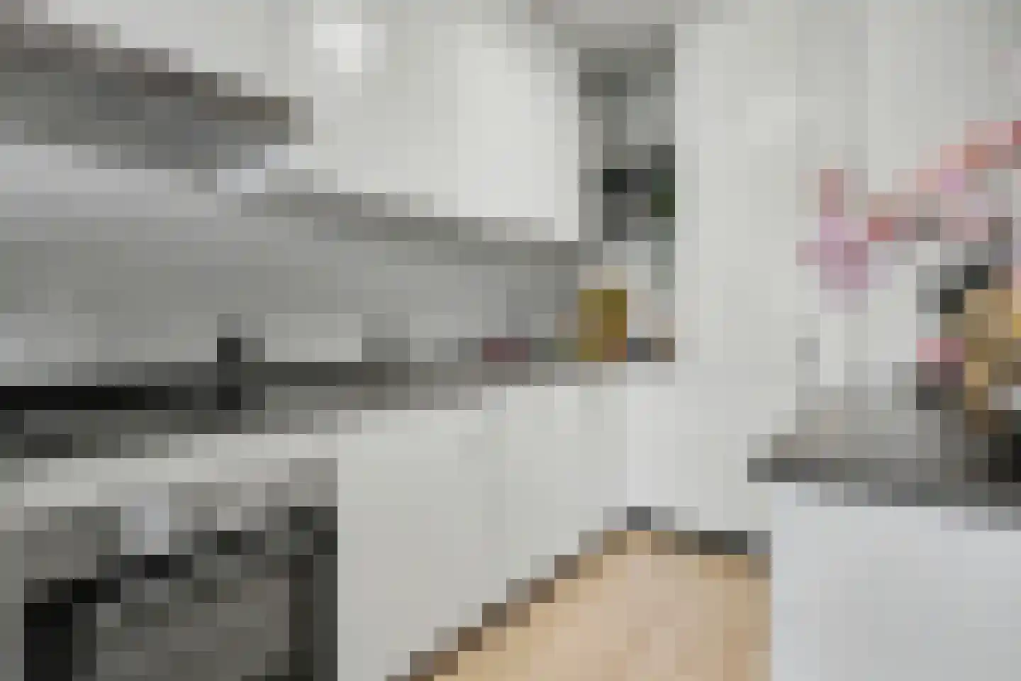 de Wilmskamp 267 Hengelo thumbnail 17
