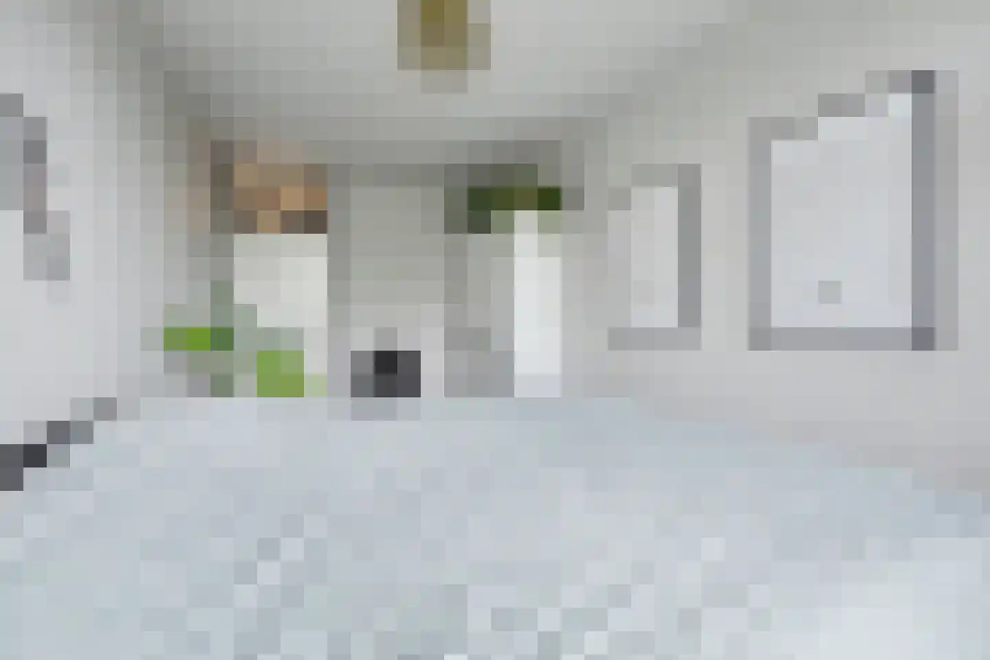 de Wilmskamp 267 Hengelo thumbnail 19