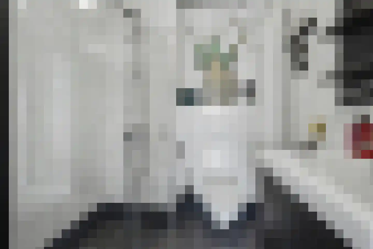 de Wilmskamp 267 Hengelo thumbnail 20