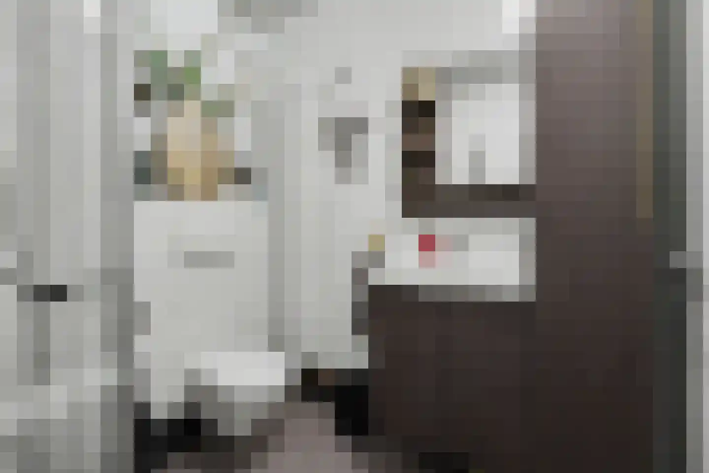 de Wilmskamp 267 Hengelo thumbnail 21