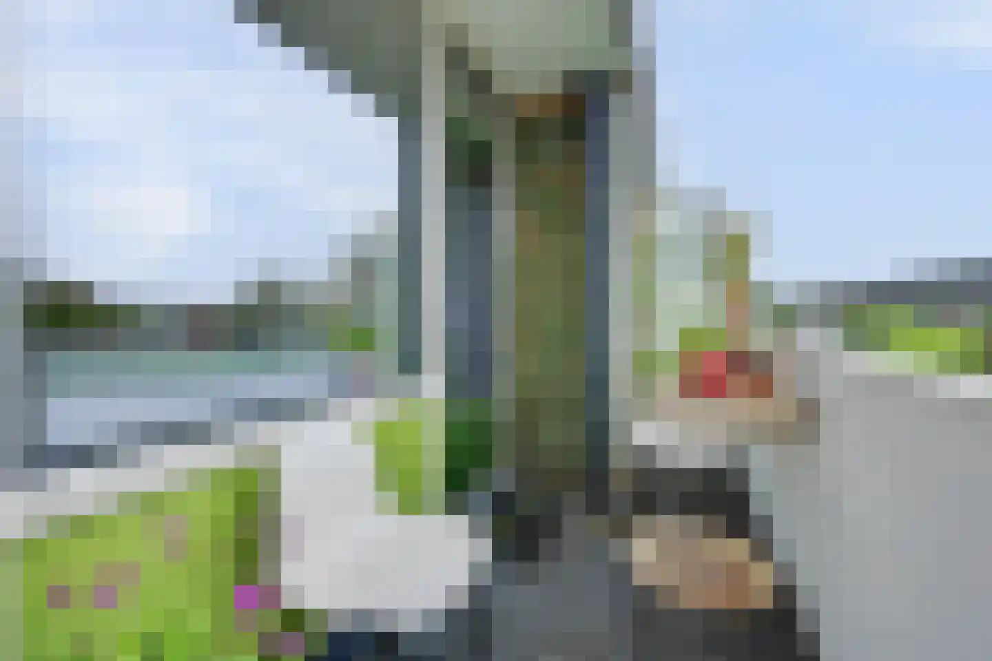 de Wilmskamp 267 Hengelo thumbnail 23