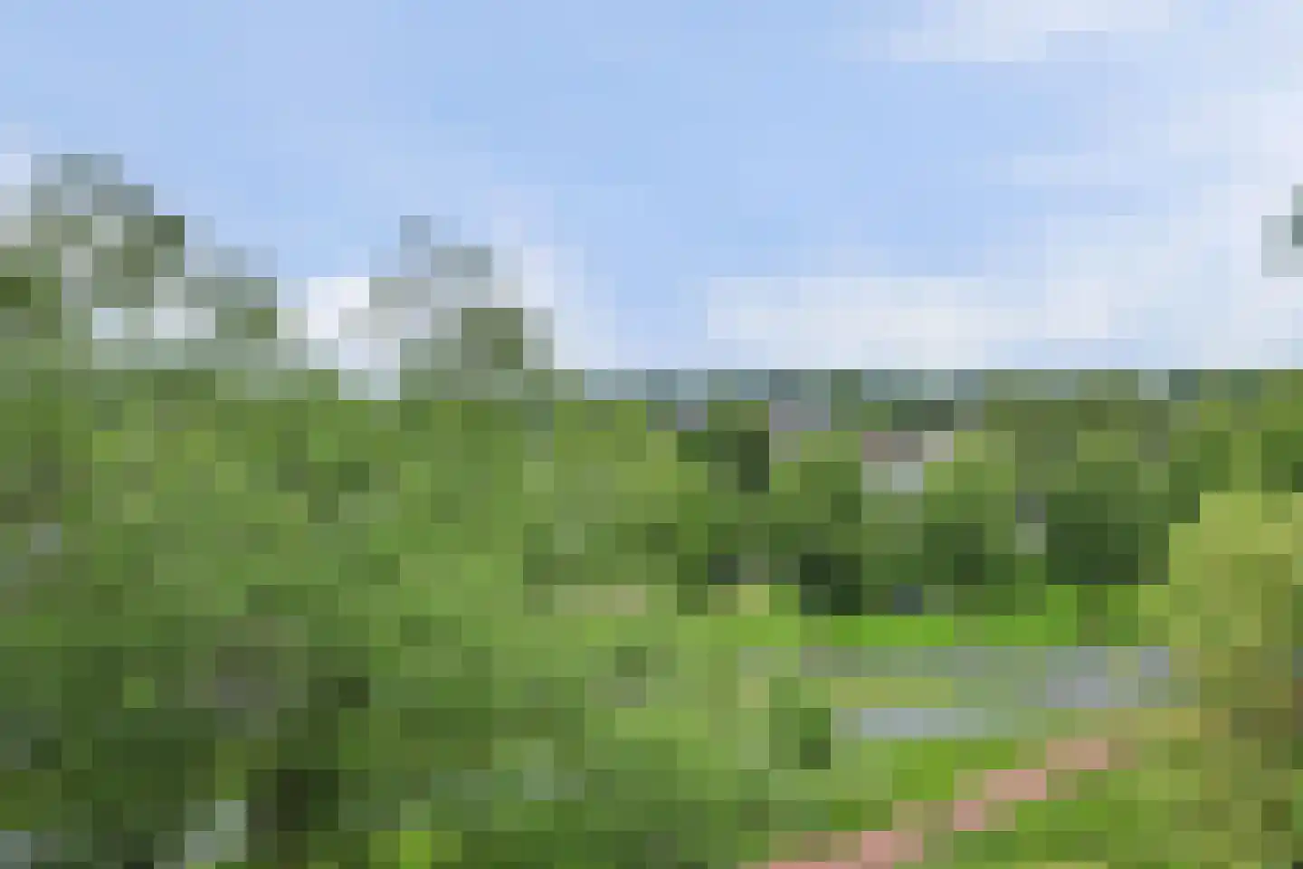 de Wilmskamp 267 Hengelo thumbnail 26