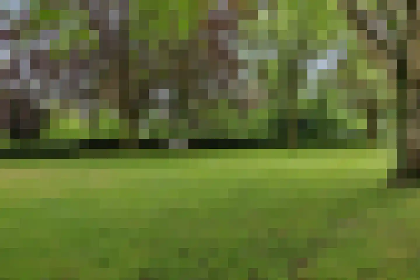 de Wilmskamp 267 Hengelo thumbnail 27