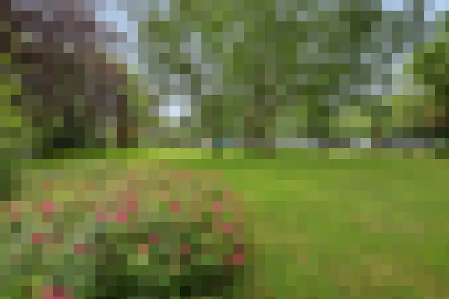de Wilmskamp 267 Hengelo thumbnail 28