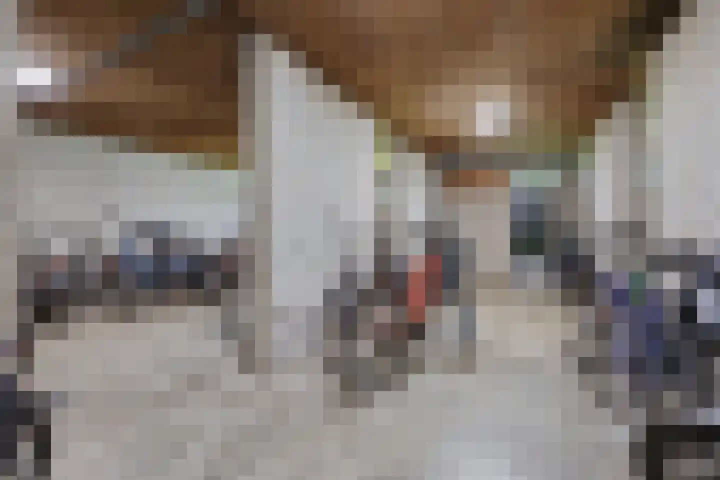 de Wilmskamp 267 Hengelo thumbnail 29