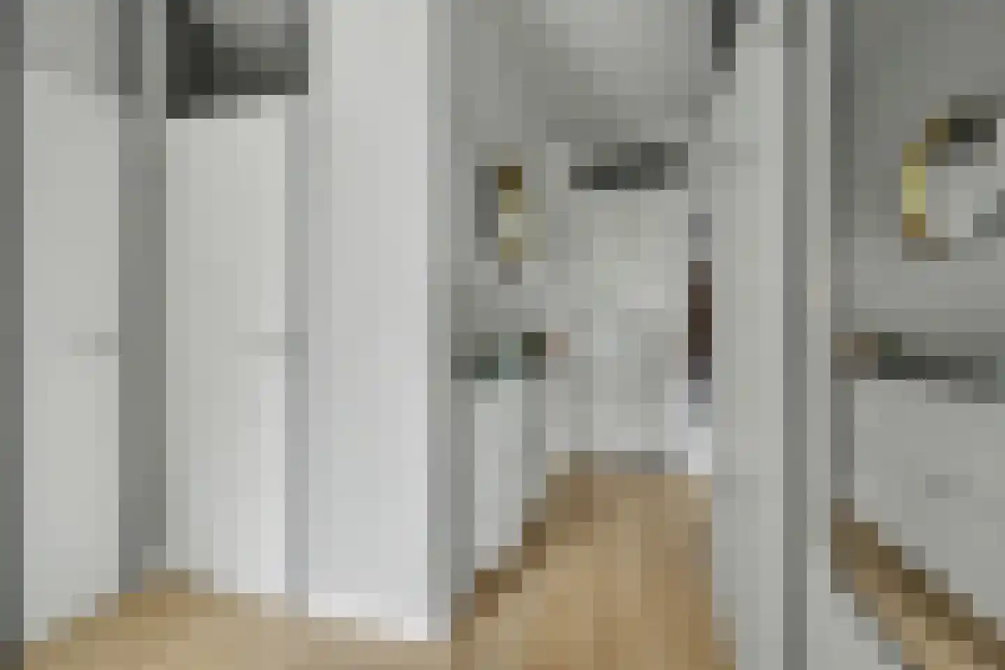 de Wilmskamp 267 Hengelo thumbnail 8