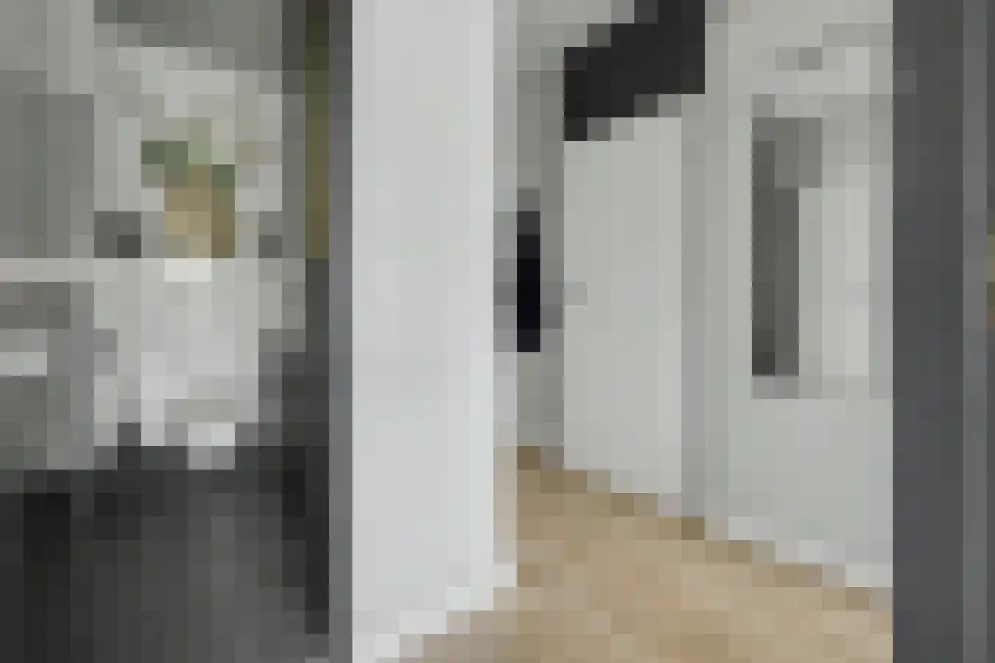 de Wilmskamp 267 Hengelo thumbnail 9
