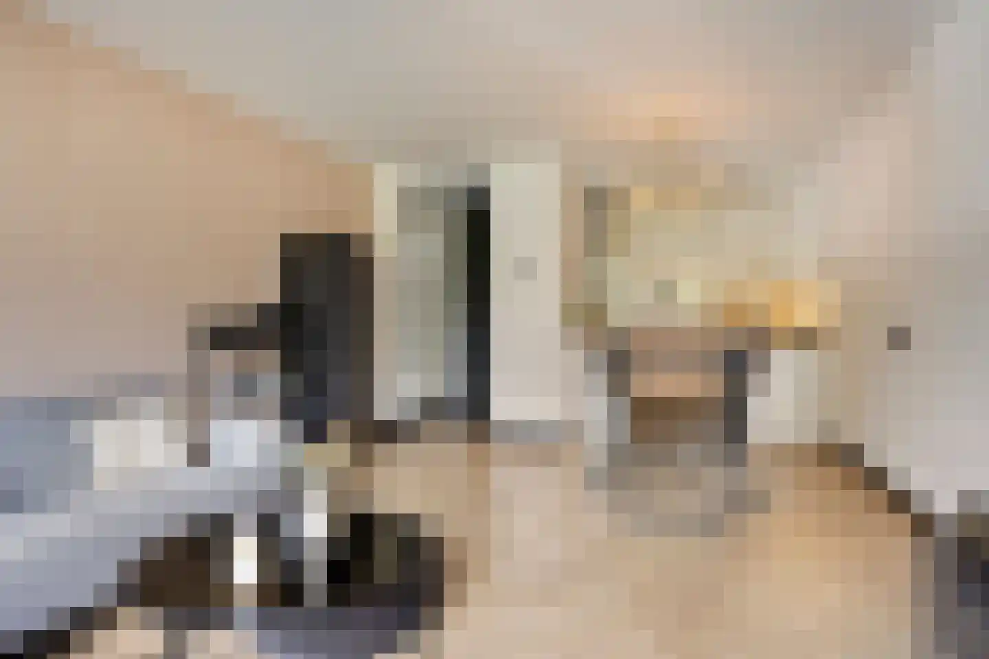 de Wilmskamp 43 Hengelo thumbnail 11
