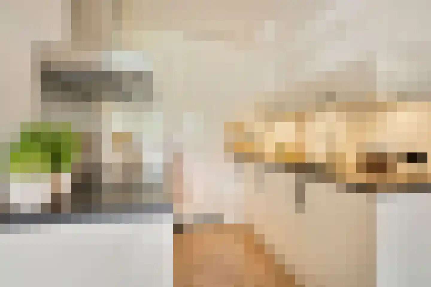 de Wilmskamp 43 Hengelo thumbnail 13