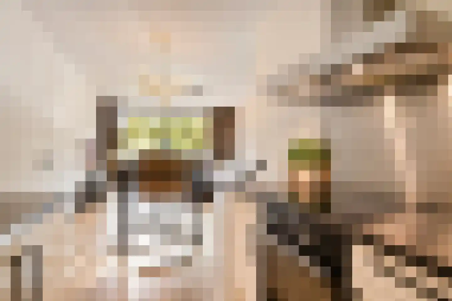 de Wilmskamp 43 Hengelo thumbnail 14