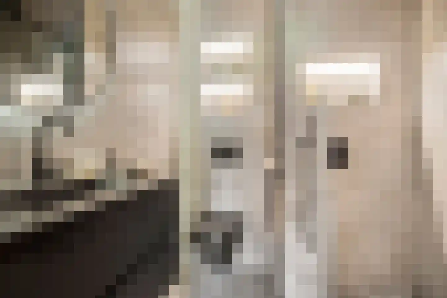 de Wilmskamp 43 Hengelo thumbnail 15