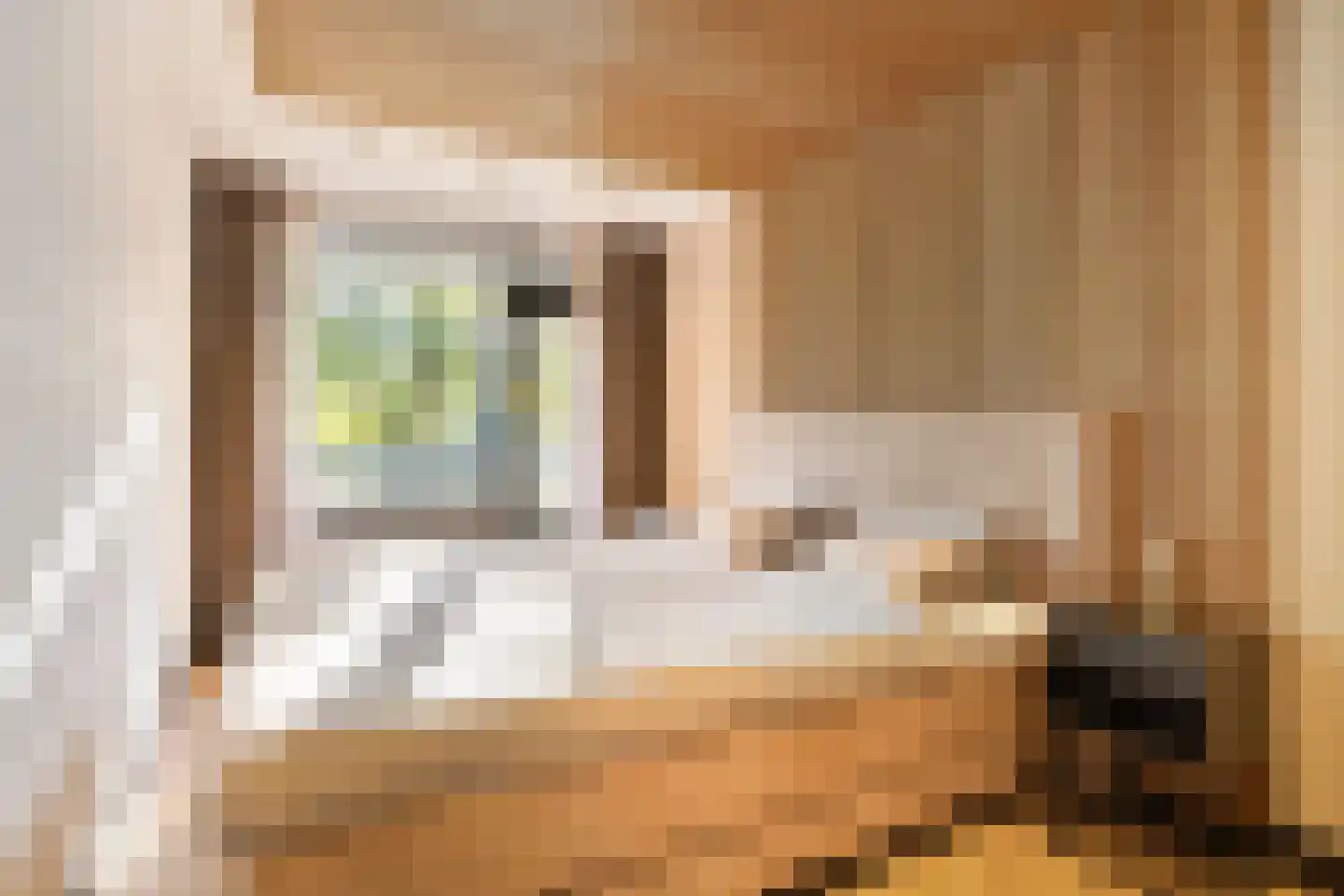 de Wilmskamp 43 Hengelo thumbnail 17