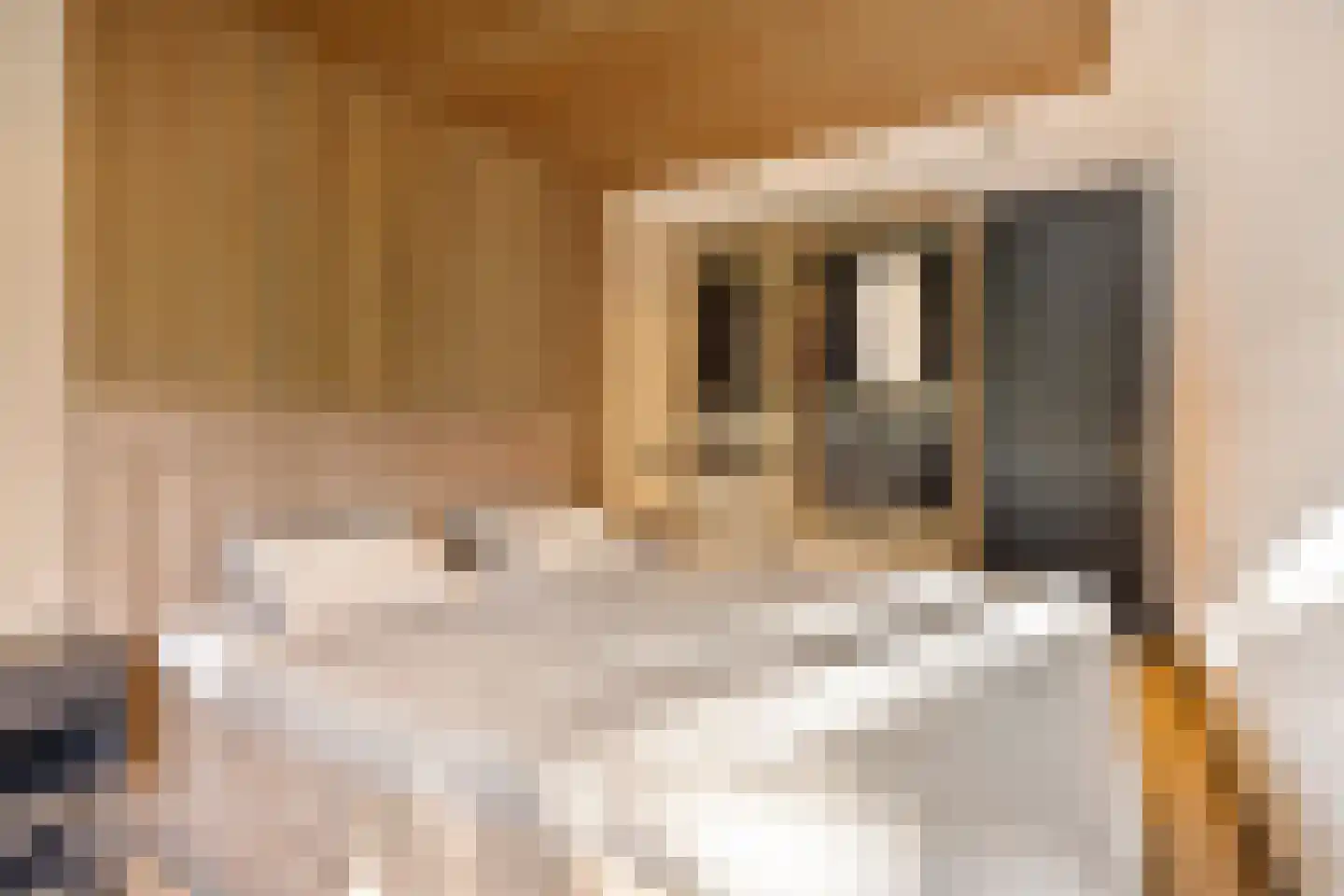 de Wilmskamp 43 Hengelo thumbnail 18