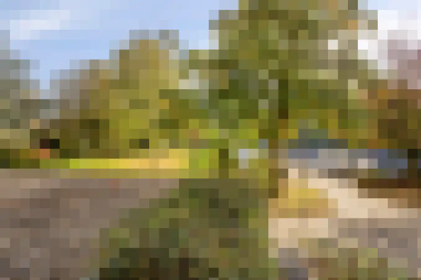 de Wilmskamp 43 Hengelo thumbnail 20