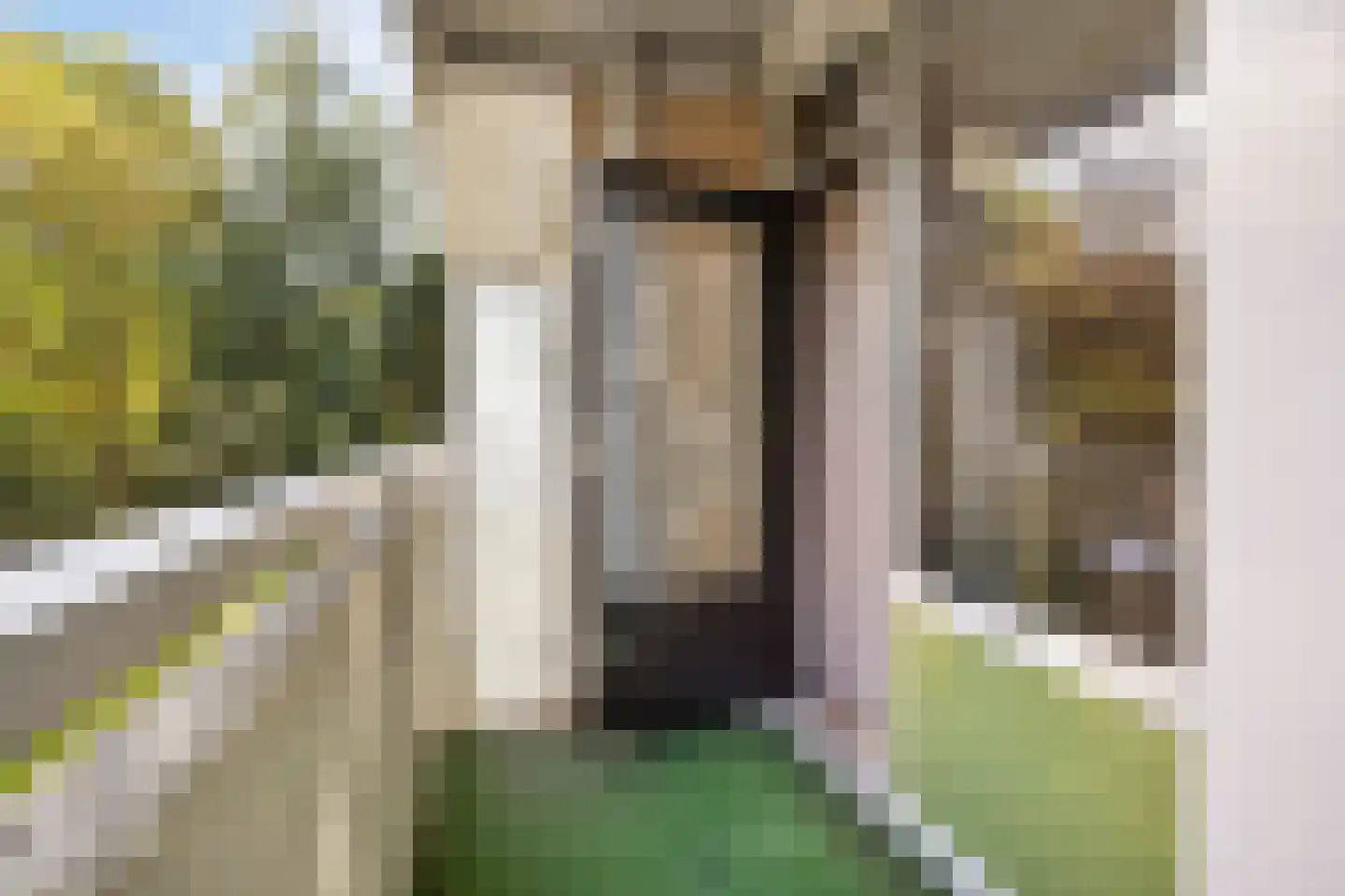 de Wilmskamp 43 Hengelo thumbnail 21