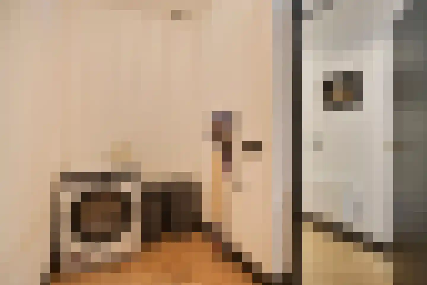de Wilmskamp 43 Hengelo thumbnail 22