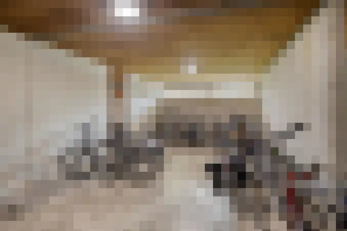 de Wilmskamp 43 Hengelo thumbnail 27