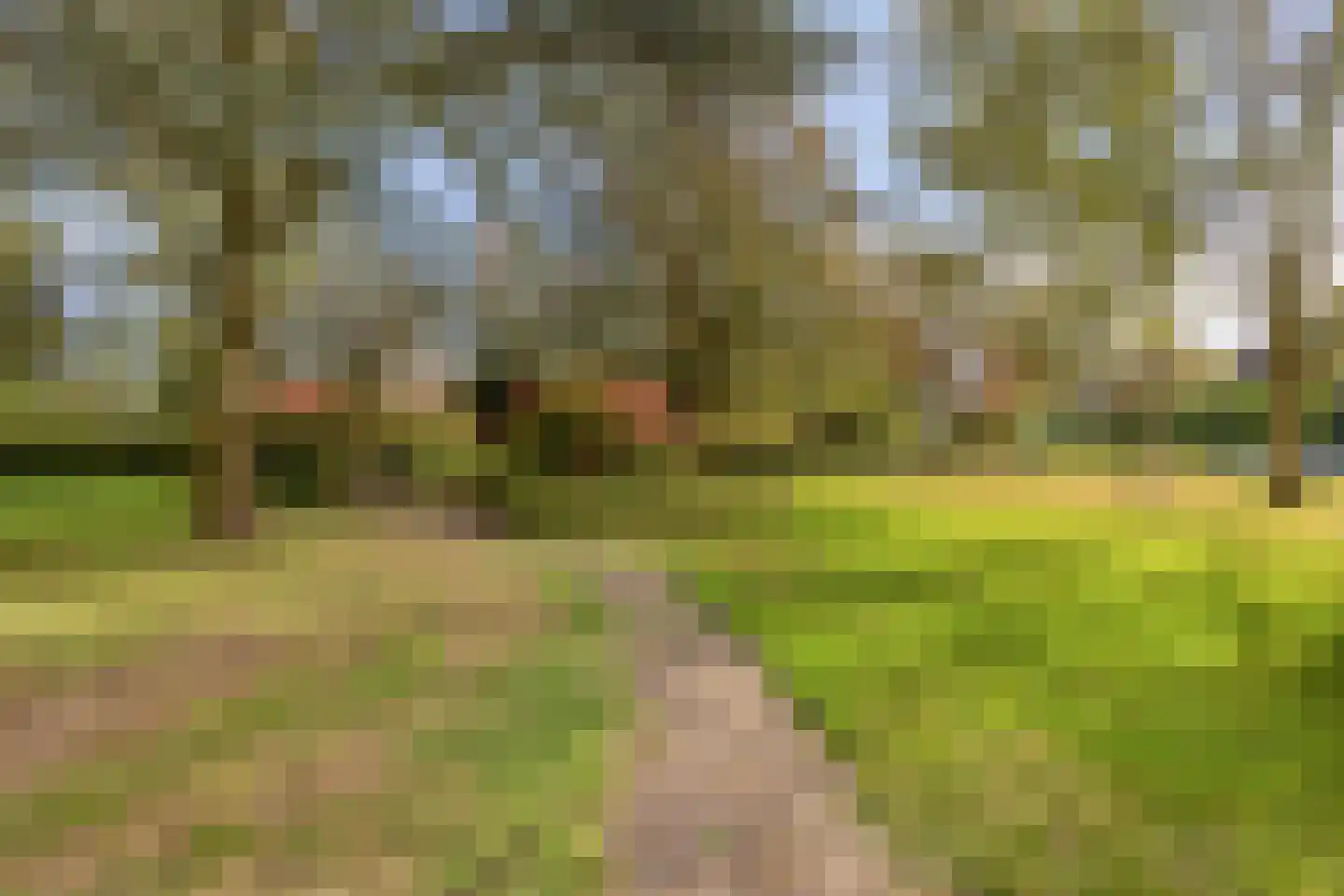 de Wilmskamp 43 Hengelo thumbnail 30