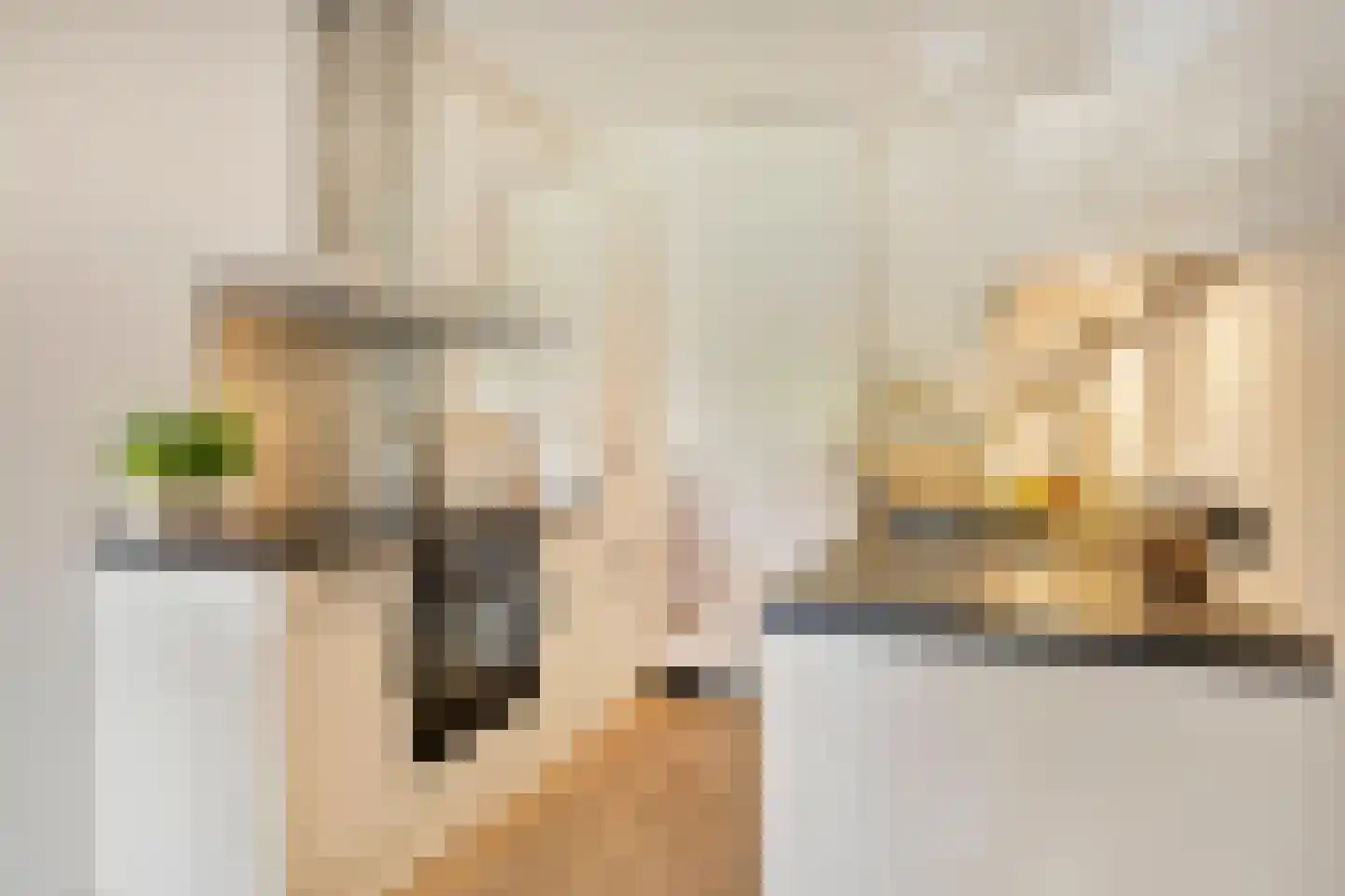 de Wilmskamp 43 Hengelo thumbnail 4