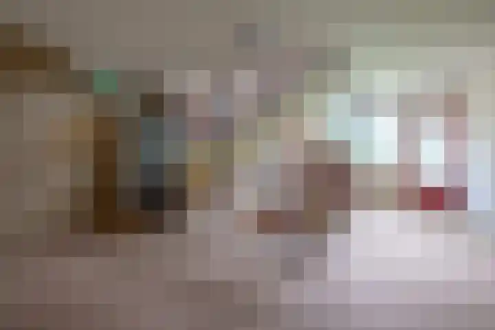 de Wilmskamp 65 Hengelo thumbnail 30