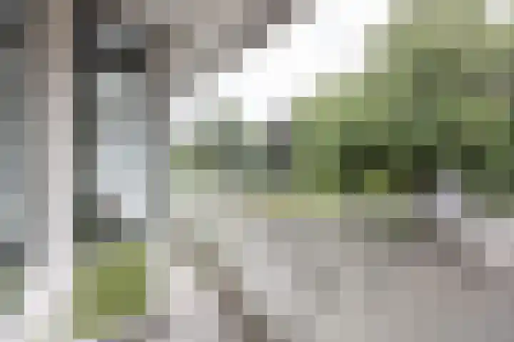 de Wilmskamp 65 Hengelo thumbnail 31