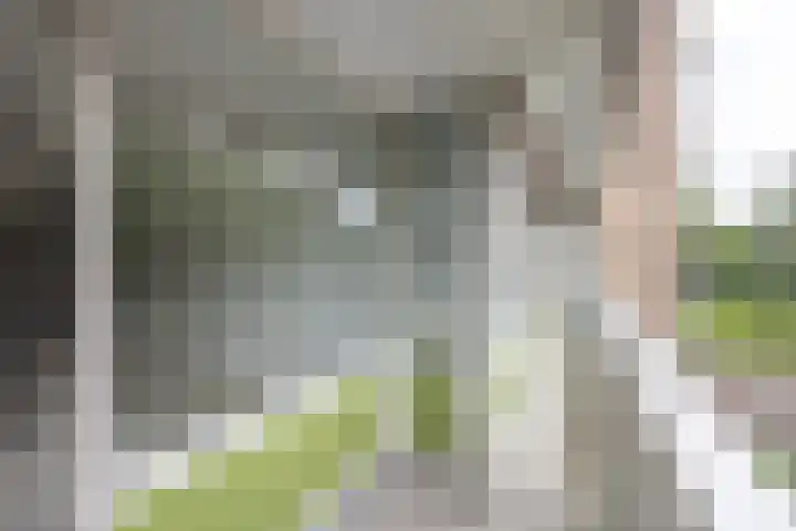 de Wilmskamp 65 Hengelo thumbnail 32