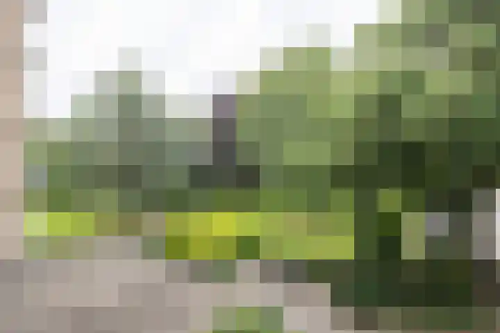 de Wilmskamp 65 Hengelo thumbnail 33