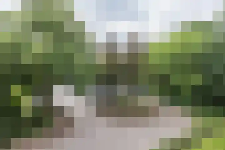 de Wilmskamp 65 Hengelo thumbnail 34
