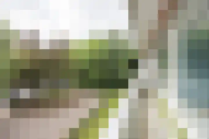 de Wilmskamp 65 Hengelo thumbnail 35