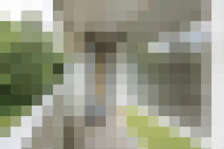 de Wilmskamp 65 Hengelo thumbnail 36