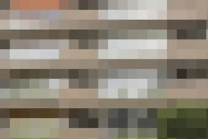 de Wilmskamp 65 Hengelo thumbnail 4