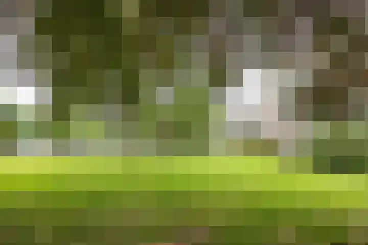 de Wilmskamp 65 Hengelo thumbnail 40