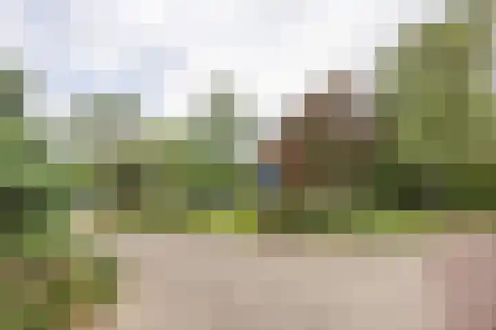 de Wilmskamp 65 Hengelo thumbnail 41