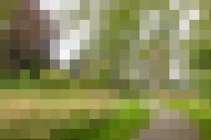 de Wilmskamp 65 Hengelo thumbnail 42