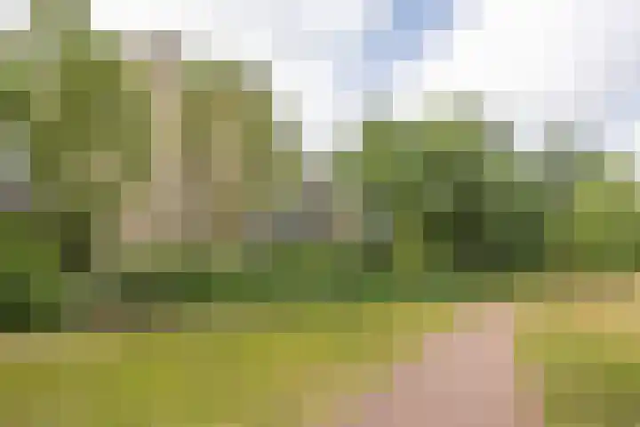 de Wilmskamp 65 Hengelo thumbnail 43