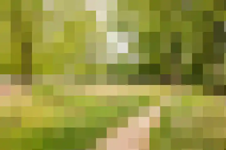 de Wilmskamp 65 Hengelo thumbnail 44