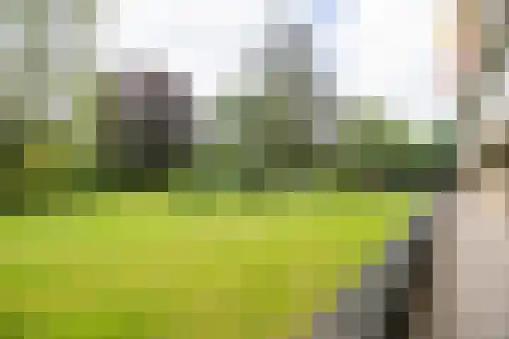 de Wilmskamp 65 Hengelo thumbnail 45