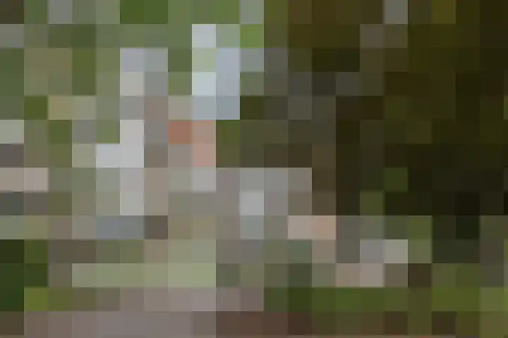 de Wilmskamp 65 Hengelo thumbnail 46