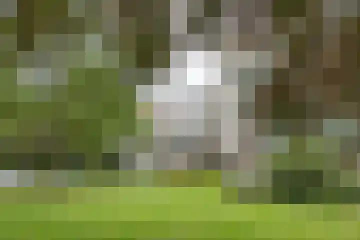 de Wilmskamp 65 Hengelo thumbnail 5